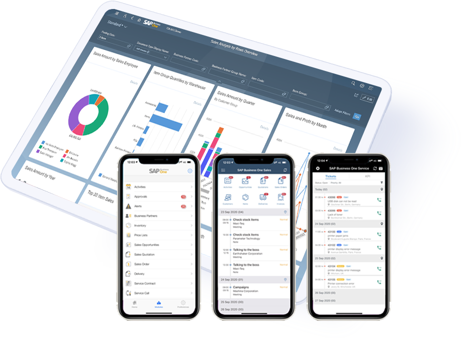 erp-solution-sap